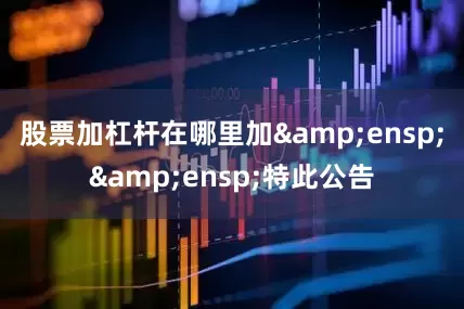 股票加杠杆在哪里加&ensp;&ensp;特此公告