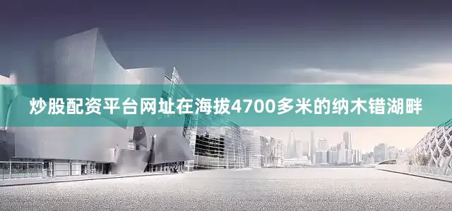 炒股配资平台网址在海拔4700多米的纳木错湖畔